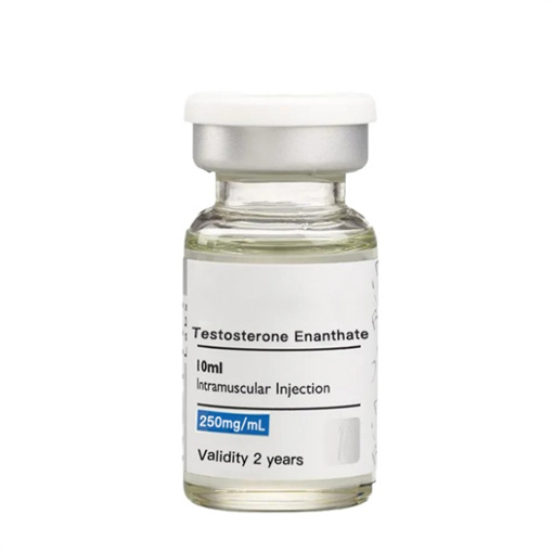 TE-250 TE-300 Oil (Testosterone Enanthate) 10ml